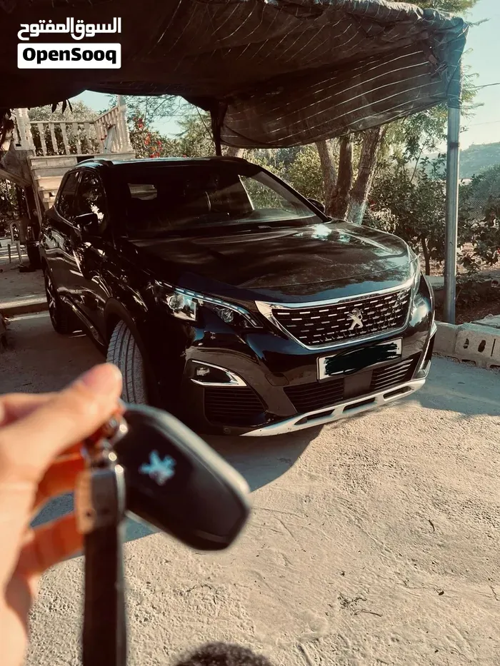 Peugeot 3008 2020 photo 2