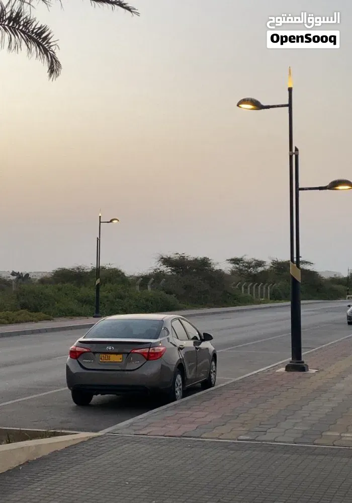 Toyota Corolla 2019 photo 4