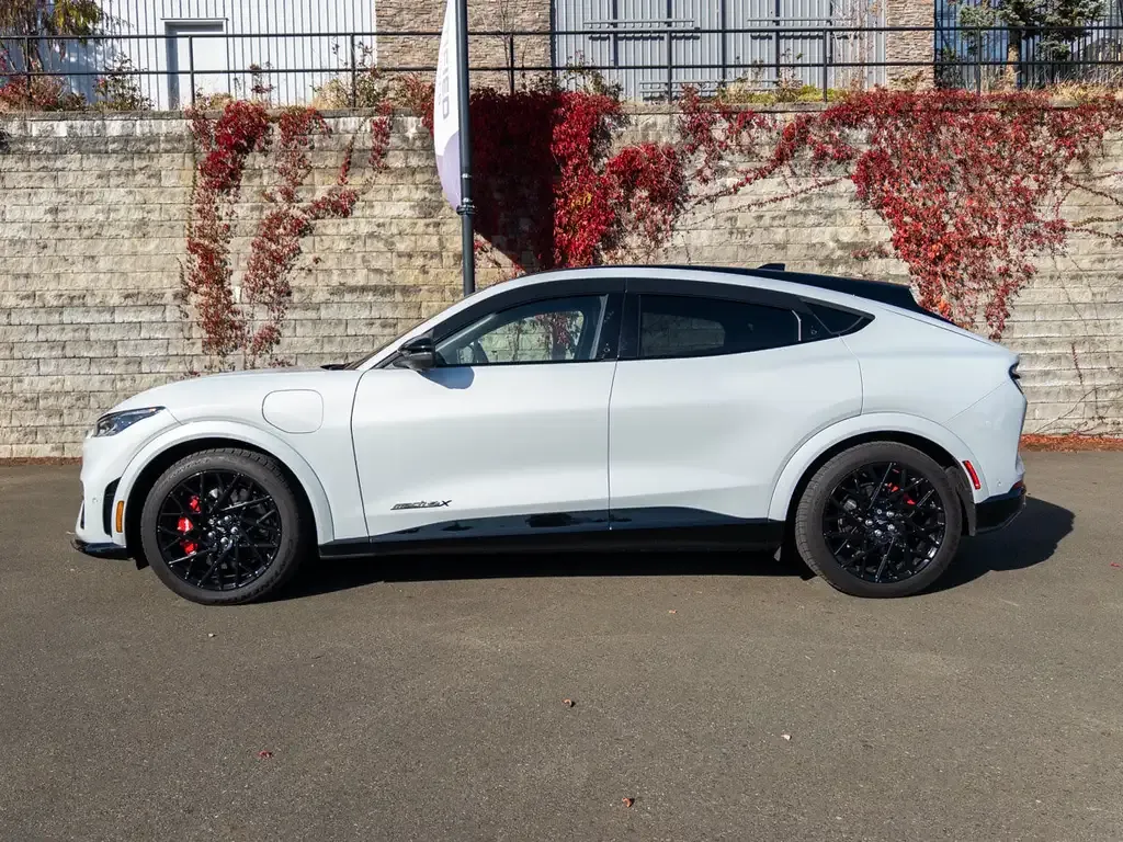 Ford Mustang Mach-E 2023 photo 2