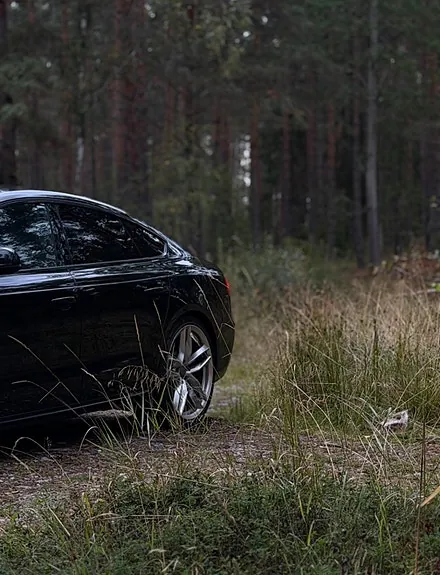 Audi A5 2015 photo 3