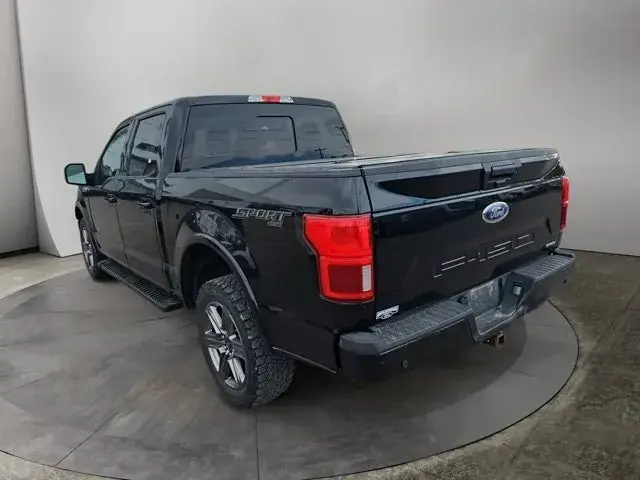 Ford F-150 2020 photo 3