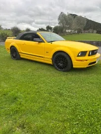 Ford Mustang 2006 photo 2
