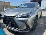 Lexus Nx 2024 photo 2