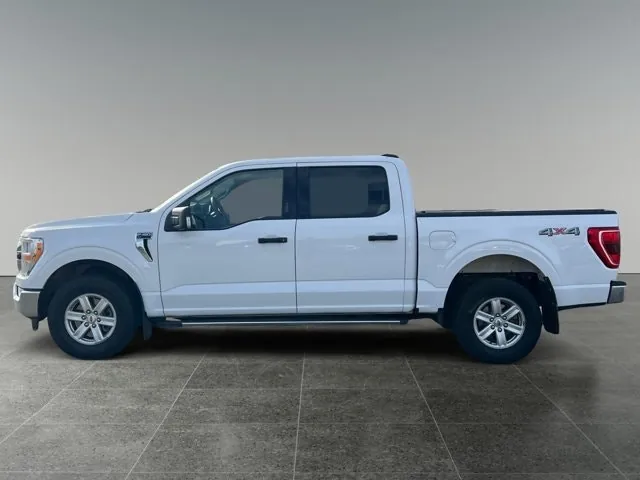 Ford F-150 2021 photo 2