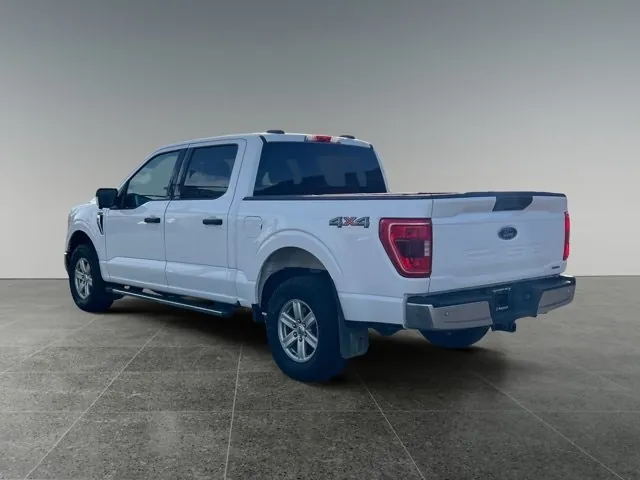 Ford F-150 2021 photo 4