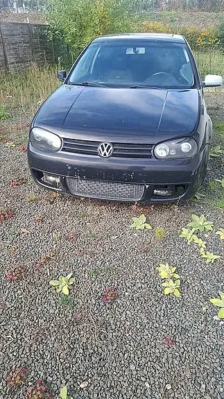 Volkswagen Golf 4 1998 photo 2