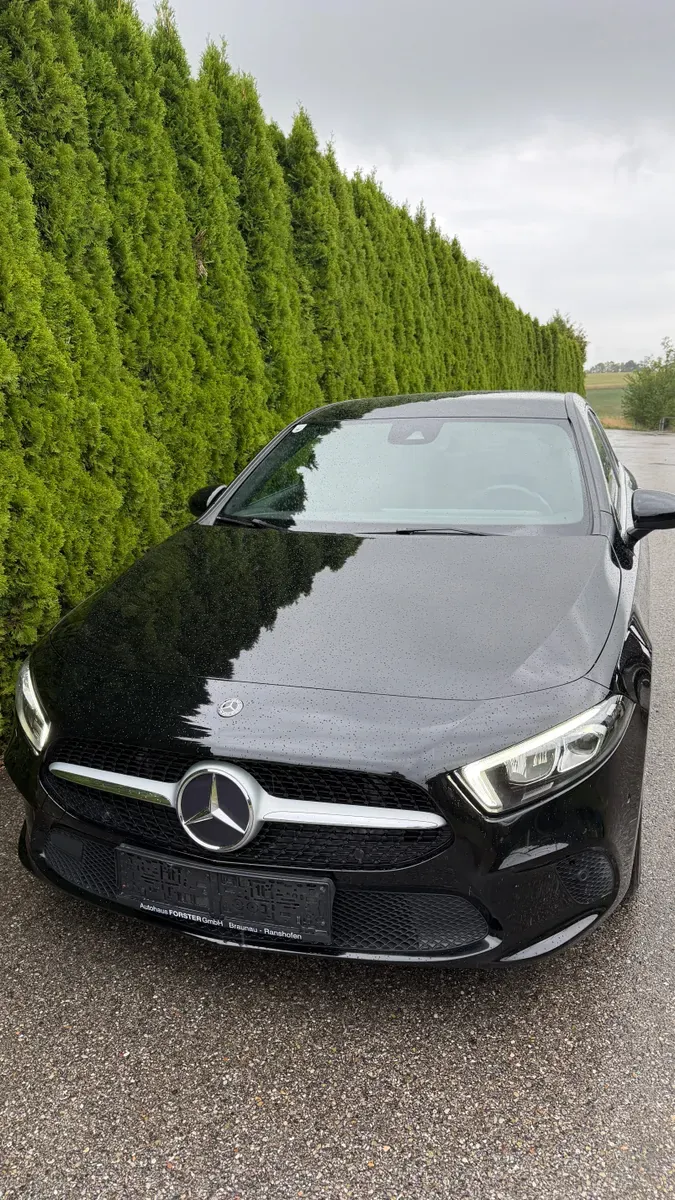 Mercedes-Benz A-Class 2019 photo 2