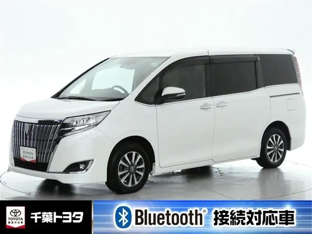 Toyota Esquaisea G