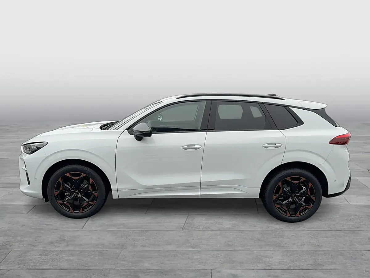 Cupra Terramar 2026 photo 3