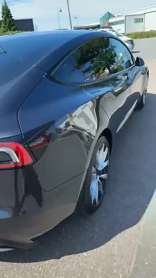 Tesla Model 3 2024 photo 5