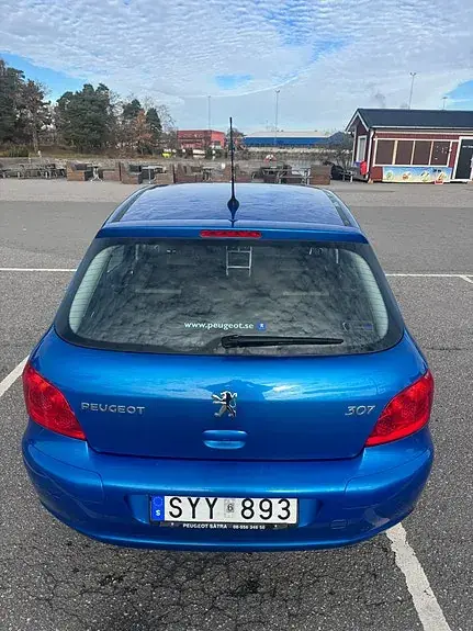 Peugeot 307 2007 photo 5