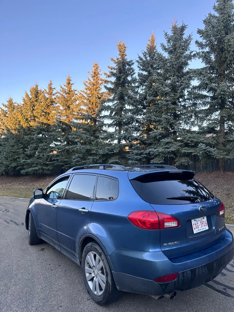 Subaru Tribeca 2008 photo 4