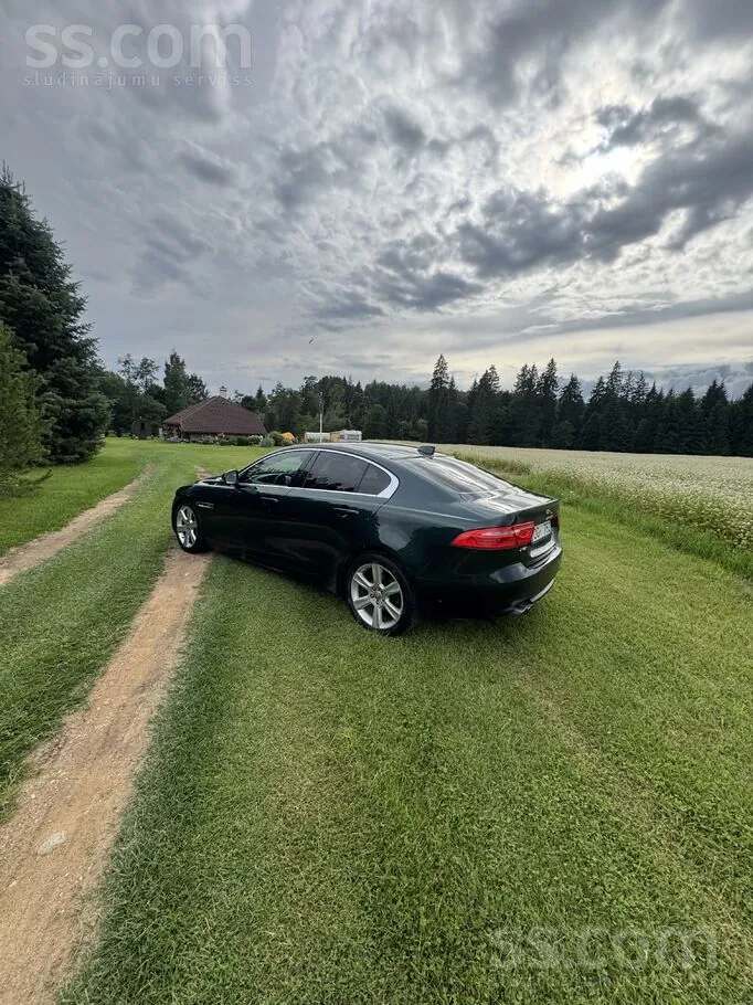 Jaguar Xe 2016 photo 2