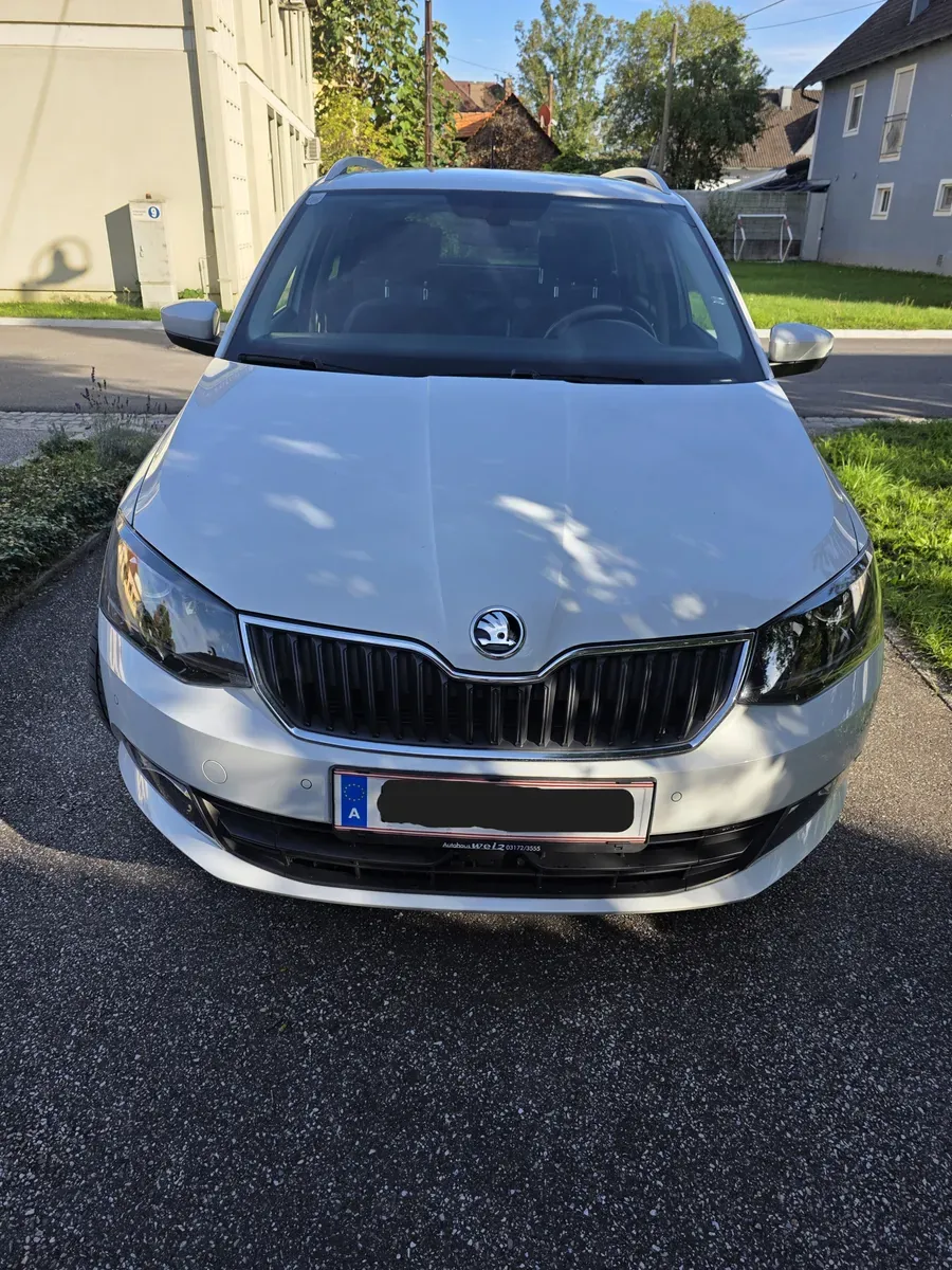 Skoda Fabia 2015 photo 3