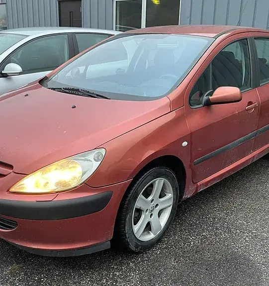 Peugeot 307 2002 photo 5