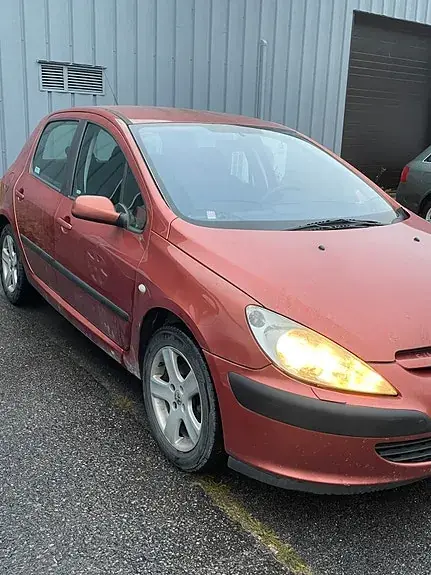 Peugeot 307 2002 photo 4