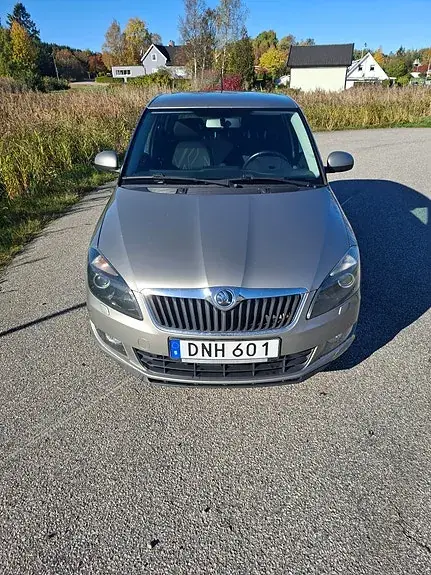 Skoda Fabia 2014 photo 3