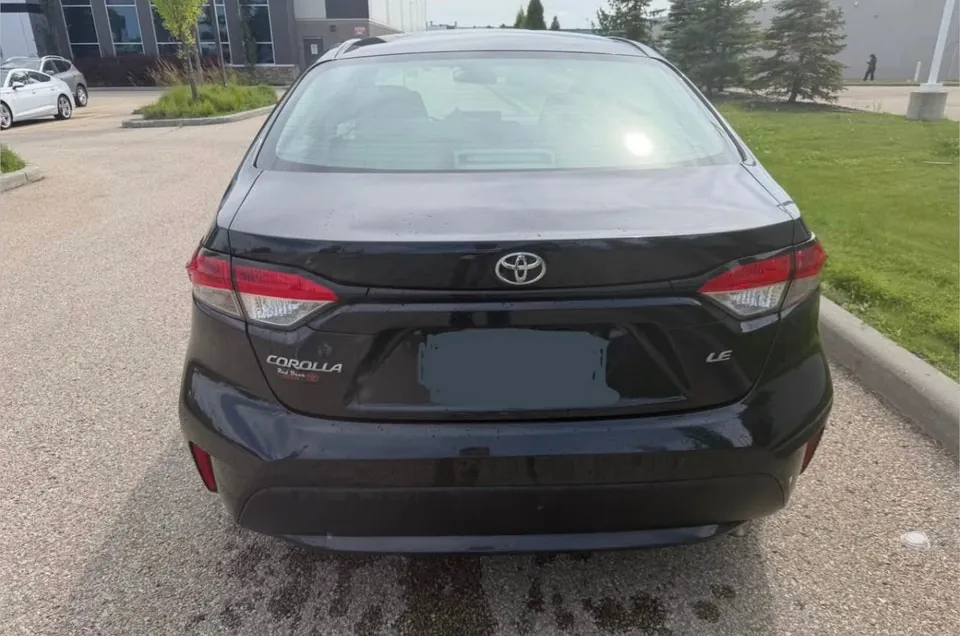 Toyota Corolla 2020 photo 5
