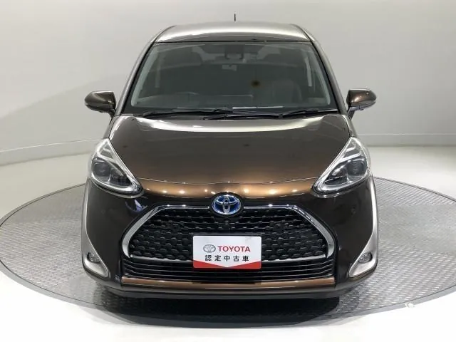 Toyota Sienna 2018 photo 2