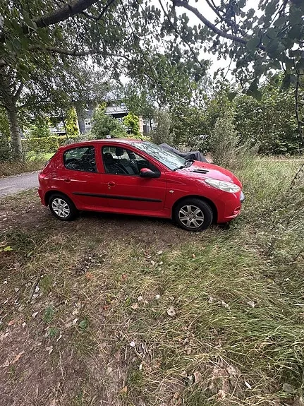 Peugeot 206 2011 photo 2