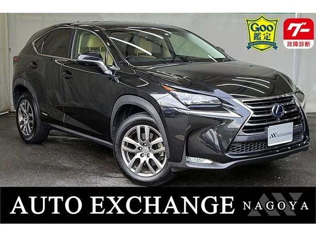 Lexus Nx300H