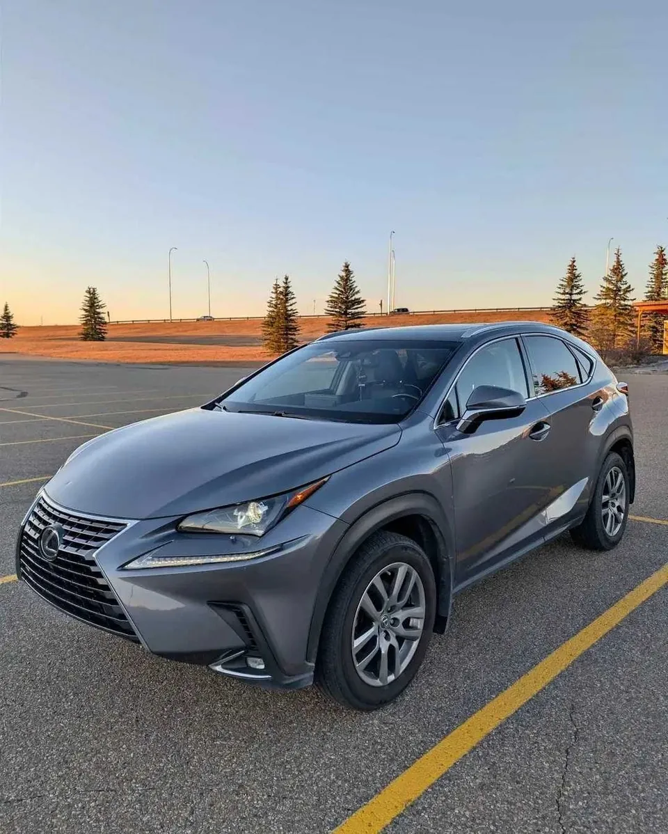 Lexus Nx 300 2020 photo 3