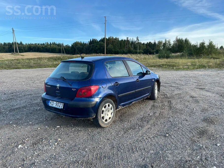 Peugeot 307 2004 photo 2