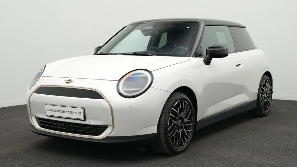 Mini Favoured Trim