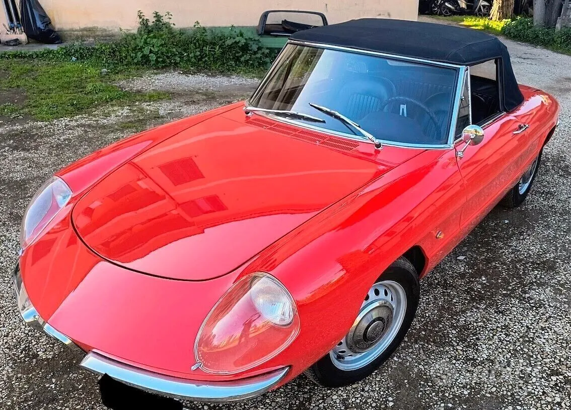 Alfa Romeo Spider