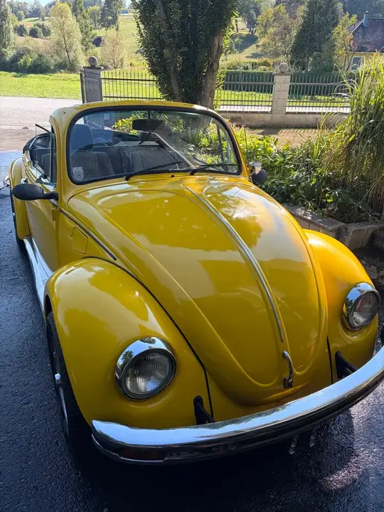 Volkswagen Käfer