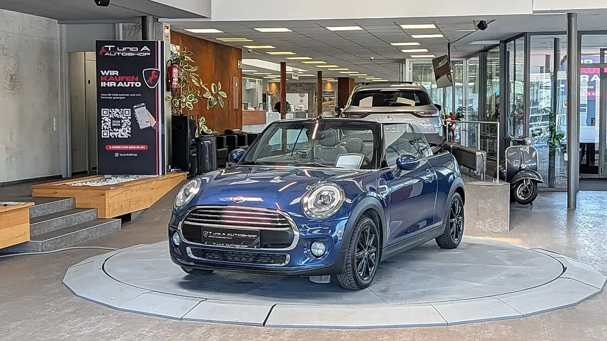 Mini Sonstige