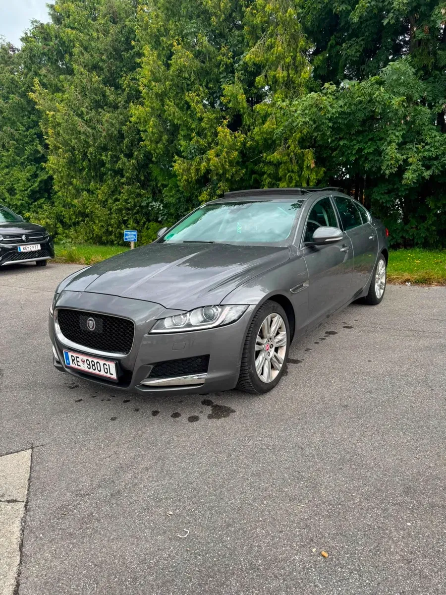 Jaguar Xf 2016 photo 3