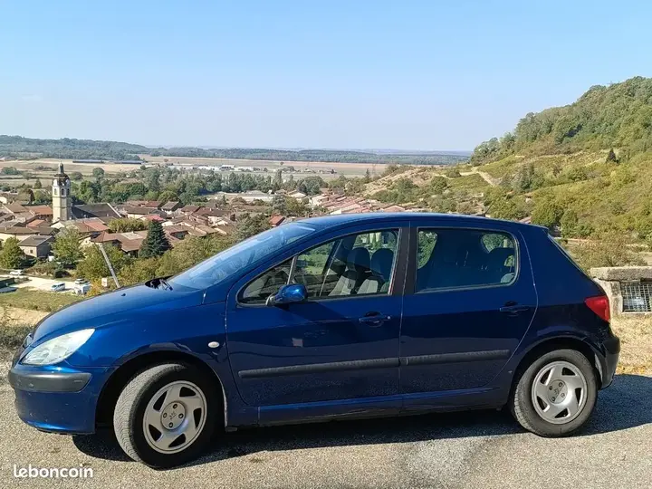 Peugeot 307