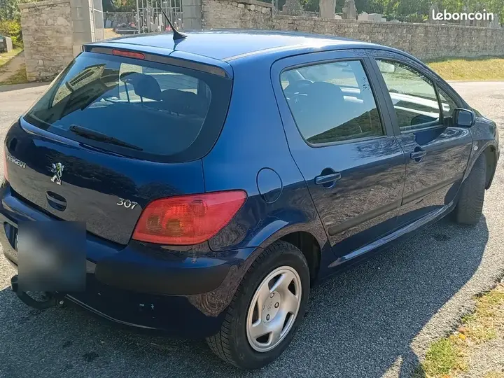 Peugeot 307 2004 photo 2