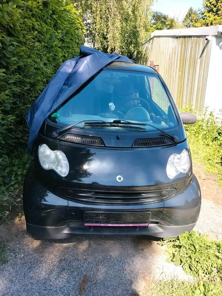 Smart For Two