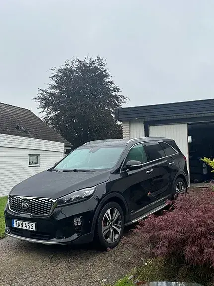 Kia Sorento 2019 photo 3