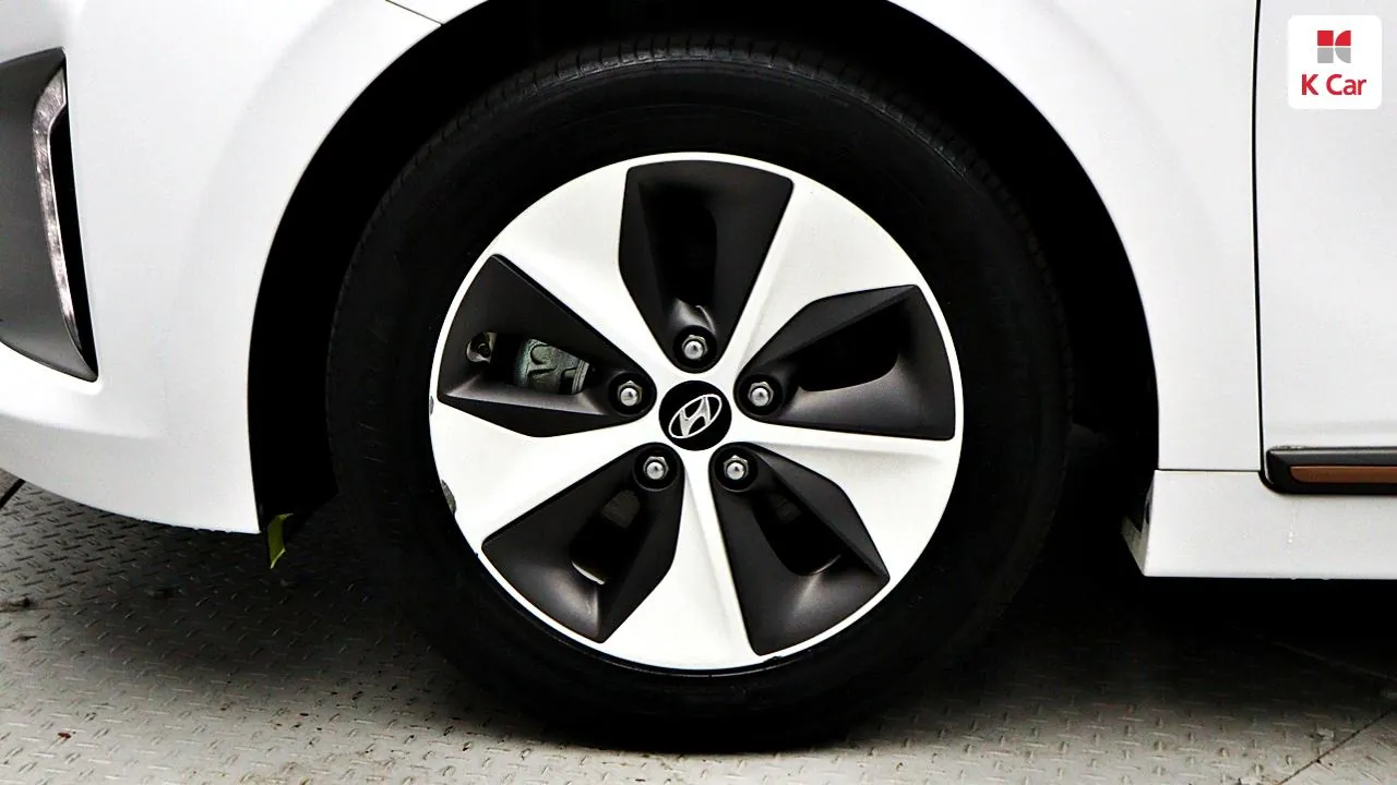 Hyundai Ioniq Electric 2019 photo 5
