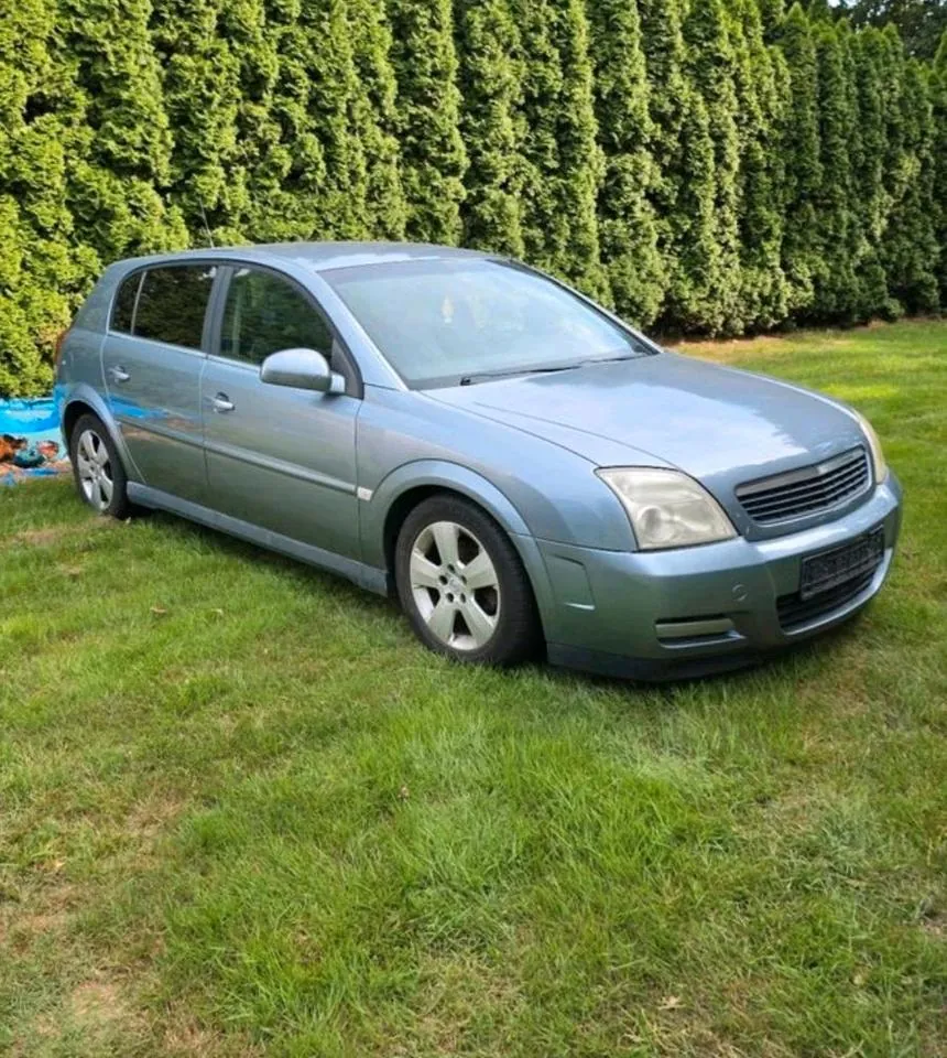 Opel Signum