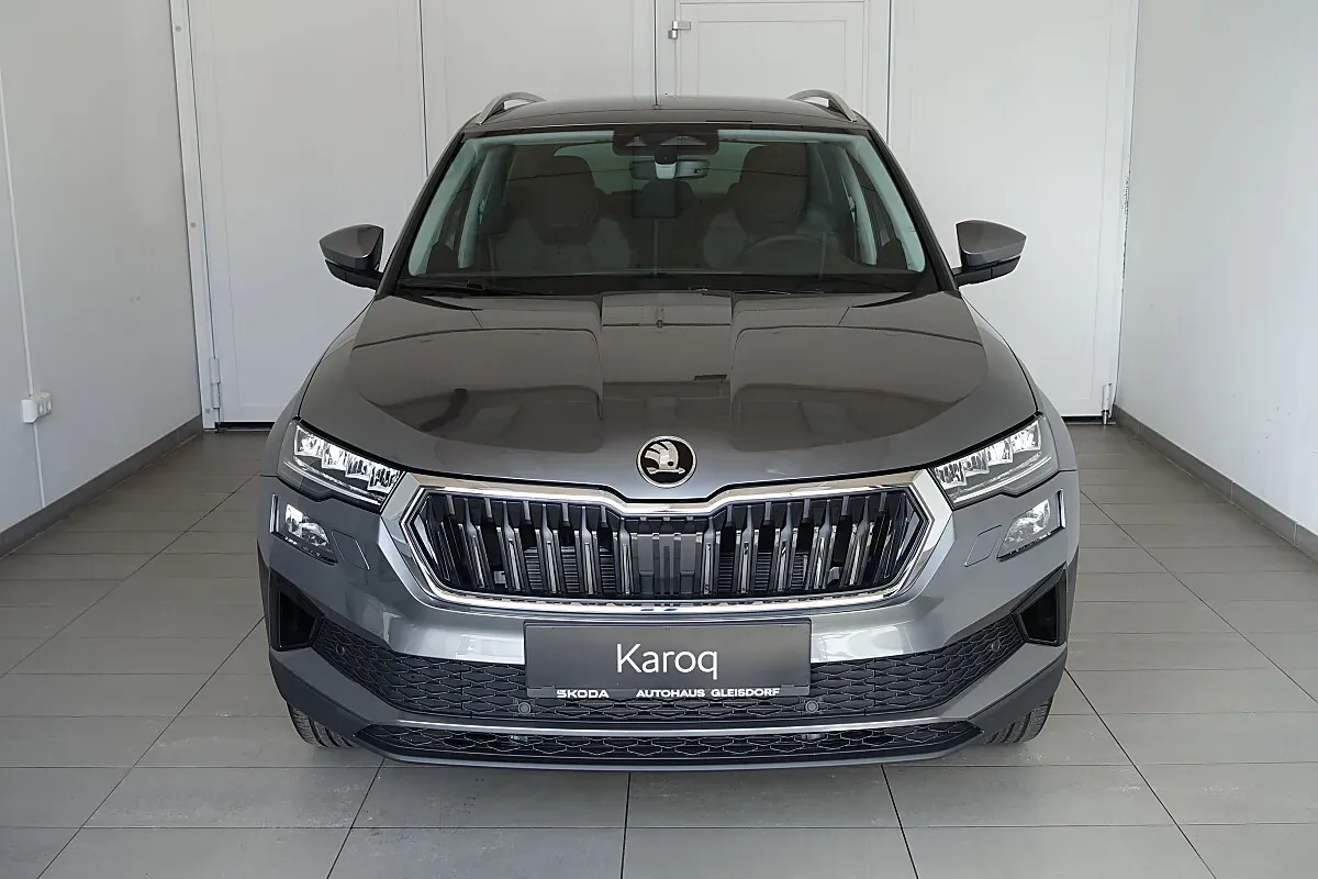 Skoda Karoq 2026 photo 2