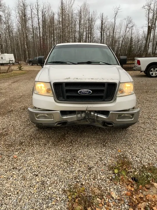 Ford F-150 2004 photo 2