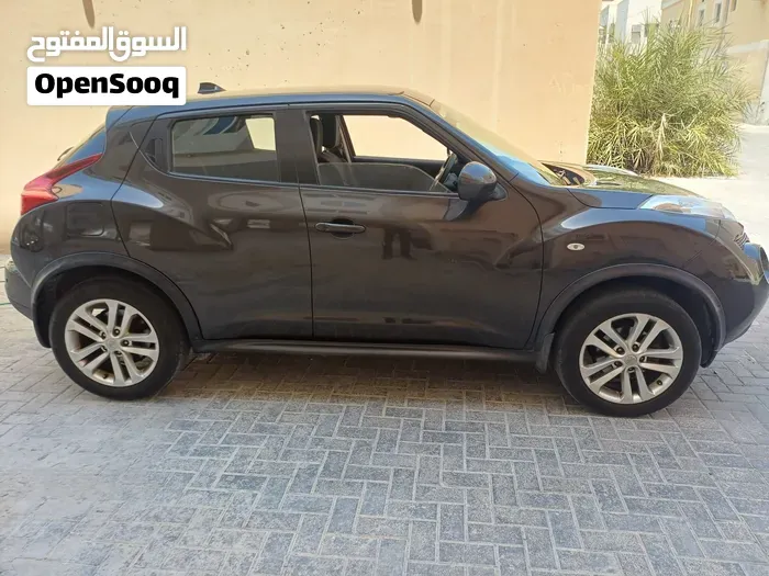 Nissan Juke 2013 photo 2