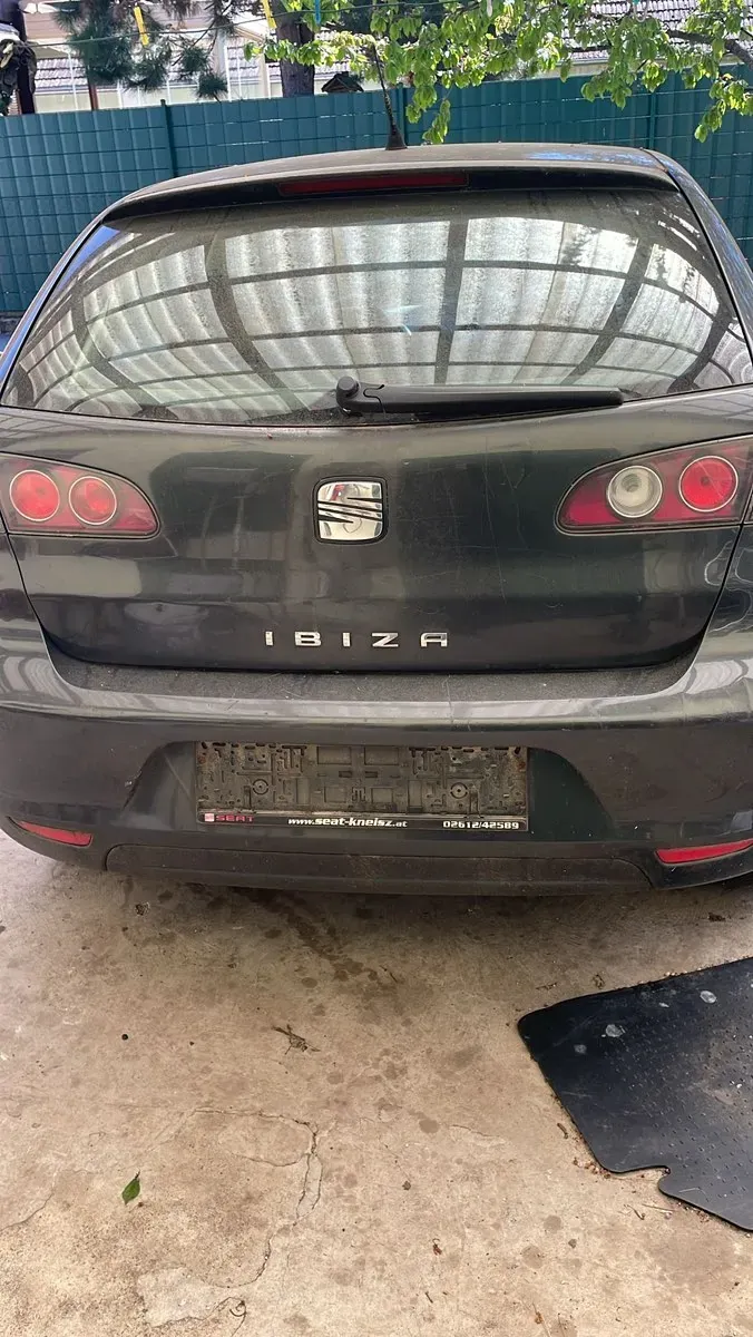 Seat Ibiza 2009 photo 2