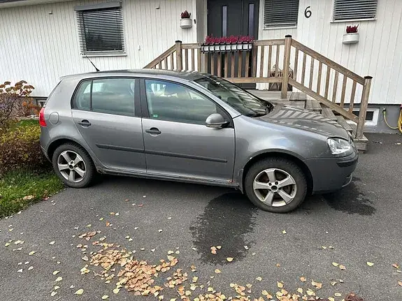 Volkswagen Golf 5 2007 photo 2