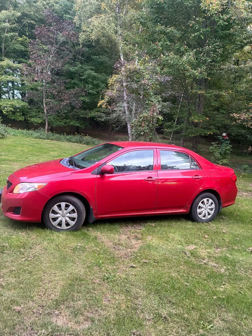 Toyota Corolla 2010 photo 3