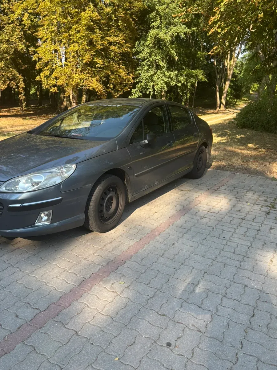 Peugeot 407 2004 photo 3
