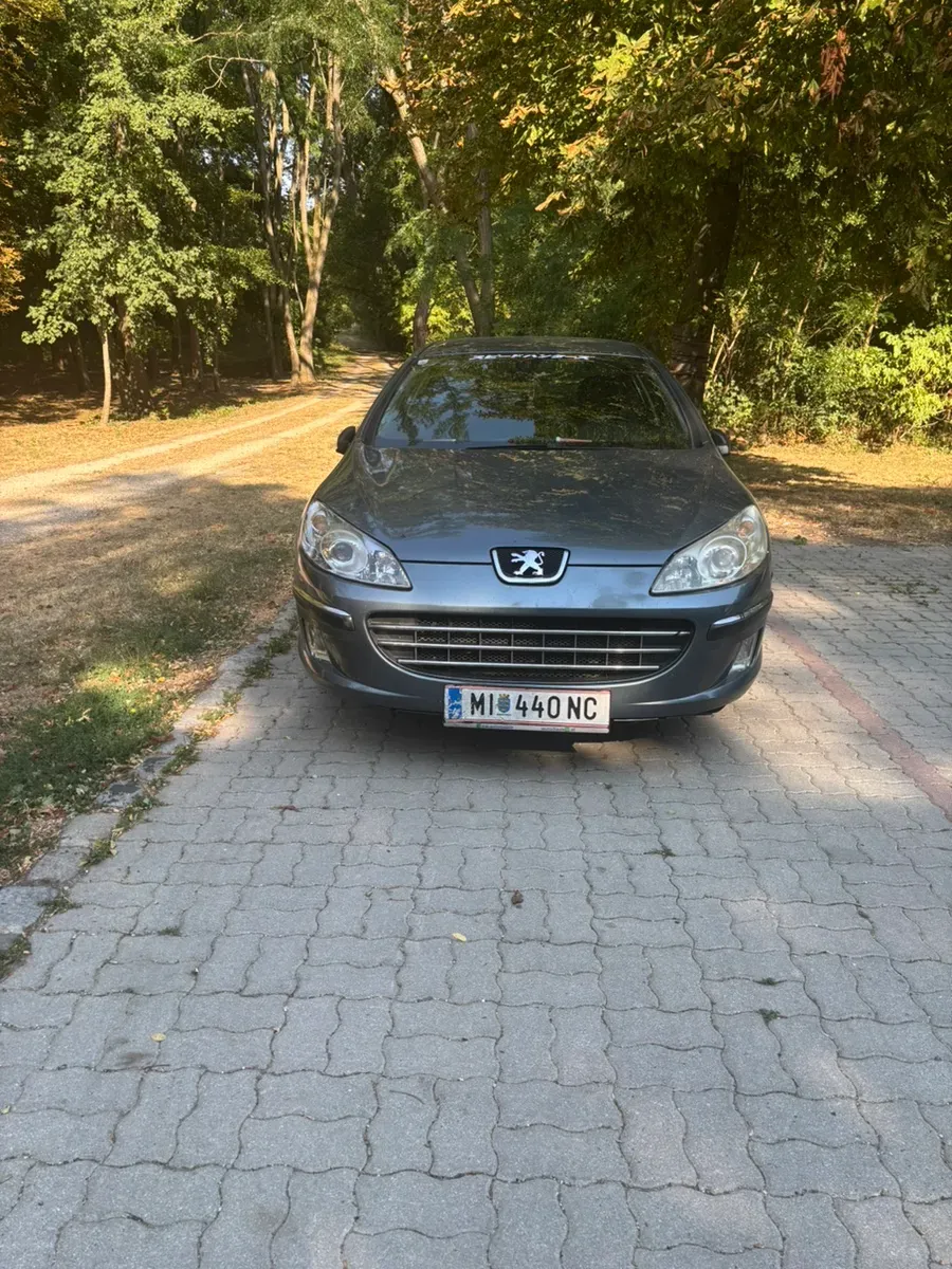 Peugeot 407 2004 photo 2
