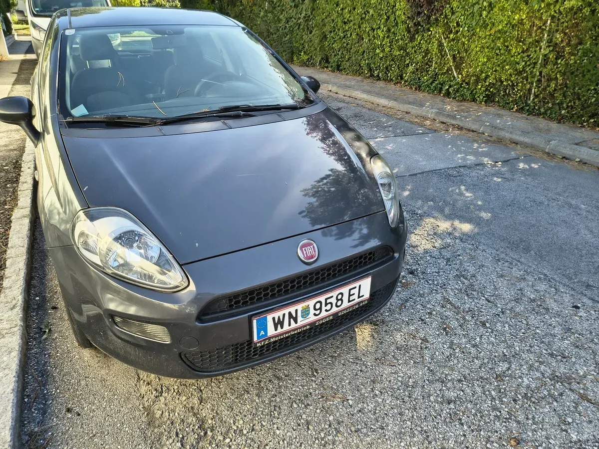 Fiat Punto
