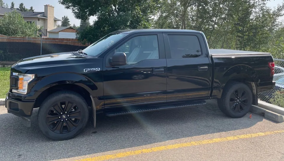 Ford F-150 2019 photo 3
