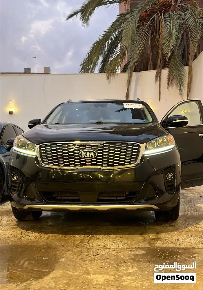 Kia Sorento 2019 photo 2