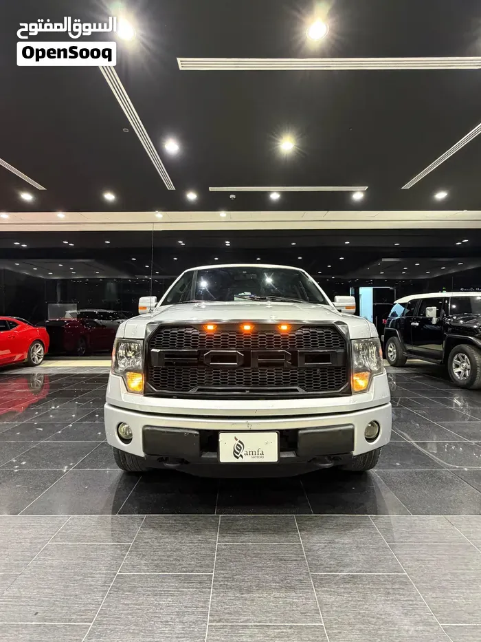 Ford F-150 2013 photo 2